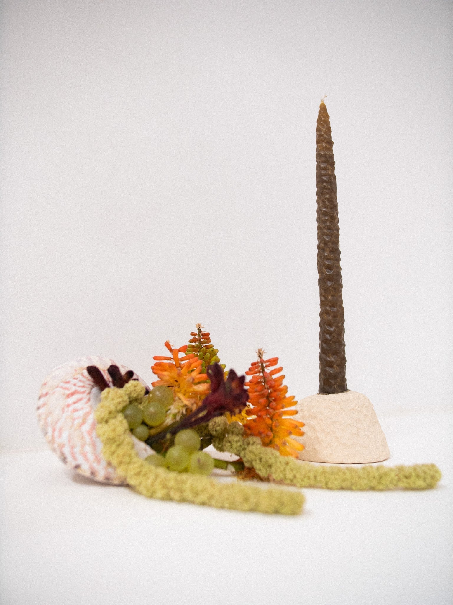 A marine collaboration with Simon Loo