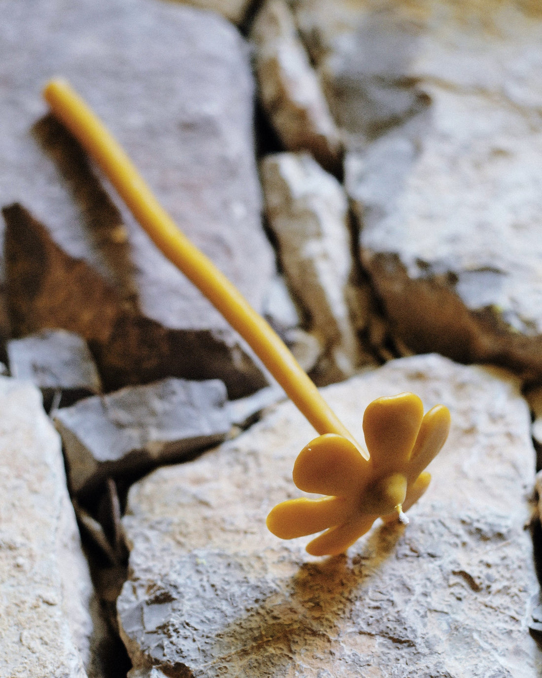 Lou Cabanon at Villa Noailles